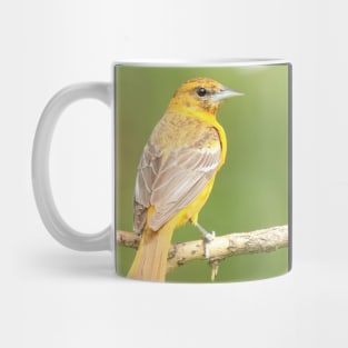 Baltimore Oriole bird with orange white feathers and green soft out of focus background Mug